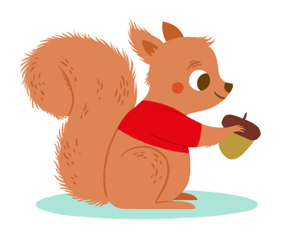 ShopApotheke Eichhörnchen